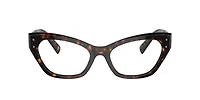 Dolce&Gabbana Woman Havana