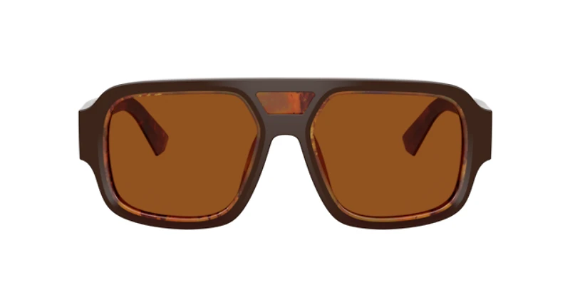 Dolce&Gabbana Man Top Brown, Pearl Gold & Brown