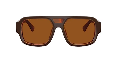 Dolce&Gabbana Man Top Brown, Pearl Gold & Brown