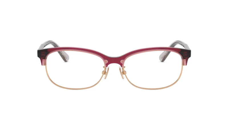 Coach Woman Transparent Mauve , Rose Gold