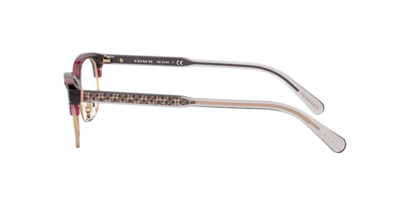 Coach Woman Transparent Mauve , Rose Gold