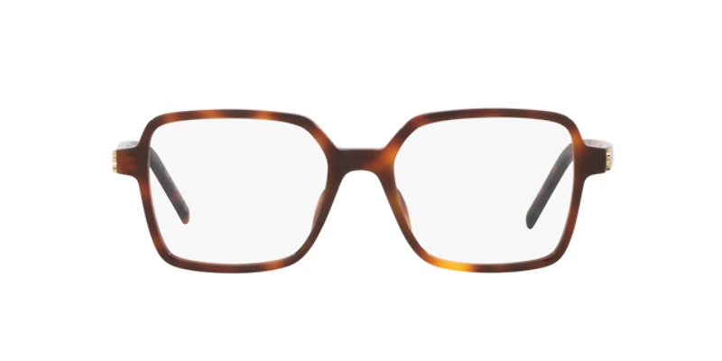 Saint Laurent Woman Tortoise Light