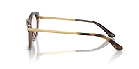 Dolce&Gabbana Woman Havana On Transparent Brown