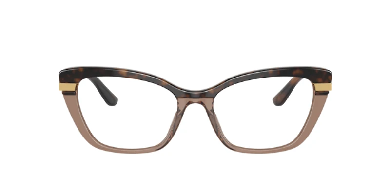 Dolce&Gabbana Woman Havana On Transparent Brown