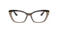 Dolce&Gabbana Woman Havana On Transparent Brown