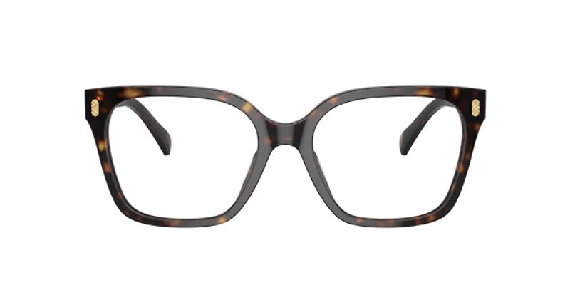 Ralph by Lauren Woman Shiny