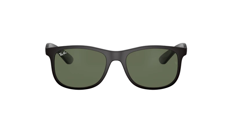 Ray-Ban_Lenses Unisex Black
