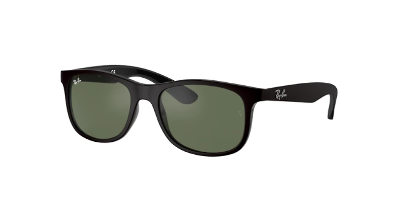 Ray-Ban_Lenses Unisex Black