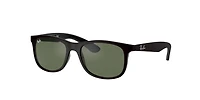 Ray-Ban_Lenses Unisex Black