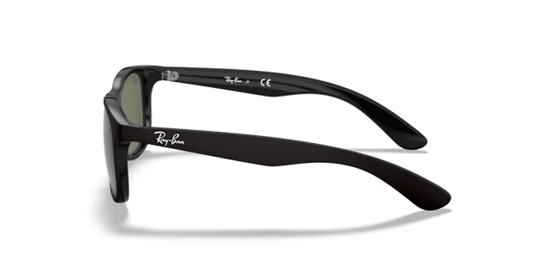 Ray-Ban_Lenses Unisex Black