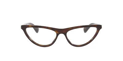 Bottega Veneta Woman Tortoise