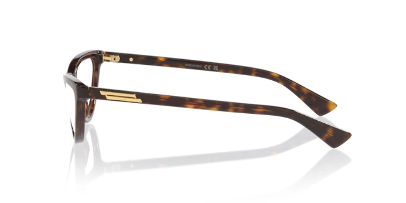 Bottega Veneta Woman Tortoise