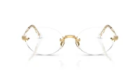 RB3929V Optics By A$AP Rocky
