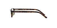 Burberry Woman Dark Havana
