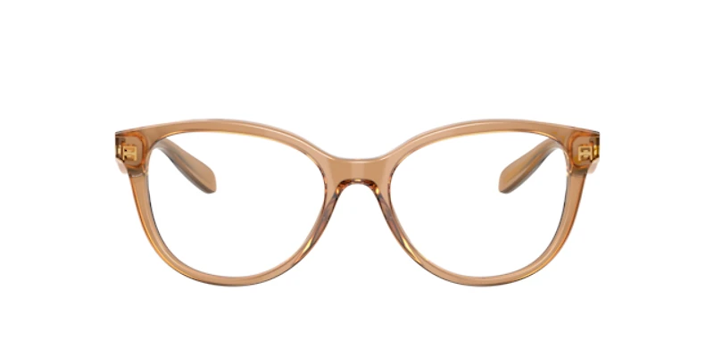 Coach Woman Transparent Brown