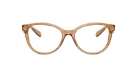 Coach Woman Transparent Brown