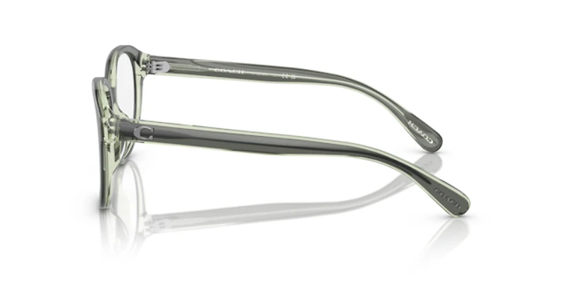 Coach Woman Moss, Mint