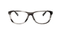 Coach Man Shiny Grey Horn
