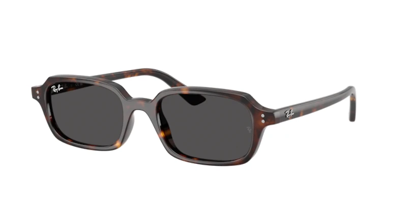 Ray-Ban Unisex Havana