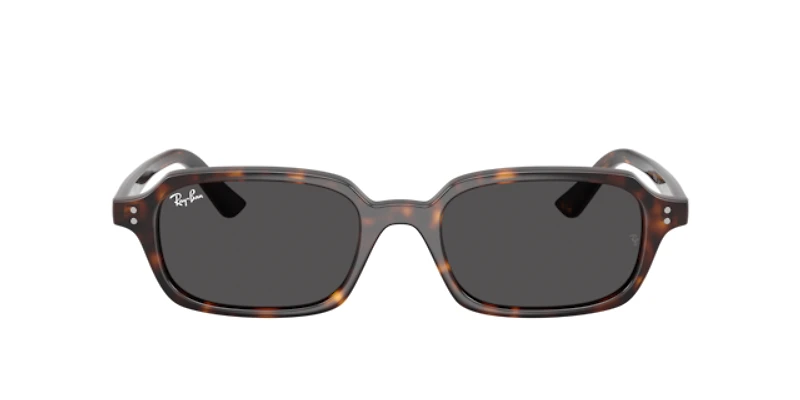 Ray-Ban Unisex Havana