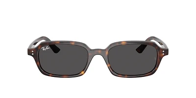 Ray-Ban Unisex Havana