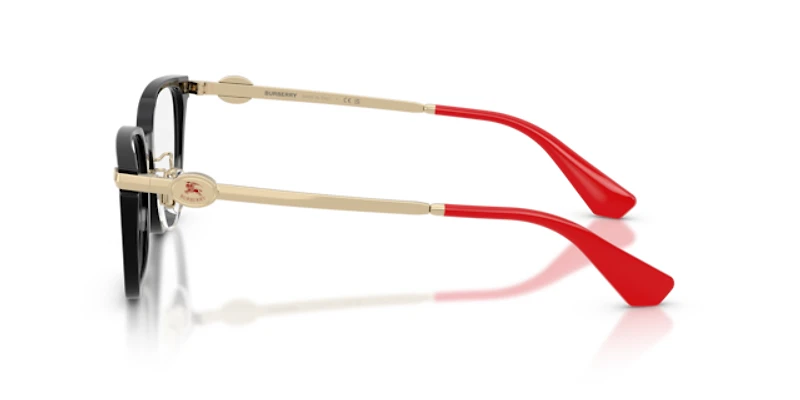 Burberry Woman Black