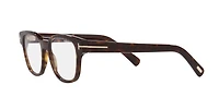 Tom Ford Man Tortoise