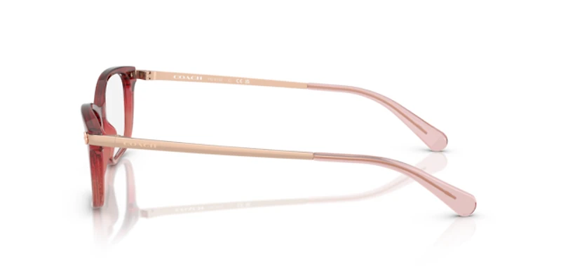 Coach Woman Pink Glitter Gradient