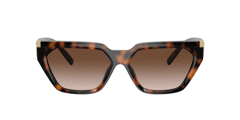 Tiffany Woman Havana