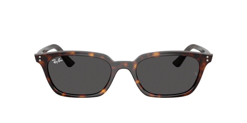 Ray-Ban Unisex Havana