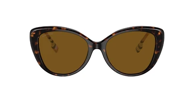 Burberry Woman Dark Havana