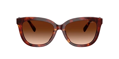 Coach Woman Walnut Tortoise