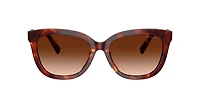 Coach Woman Walnut Tortoise
