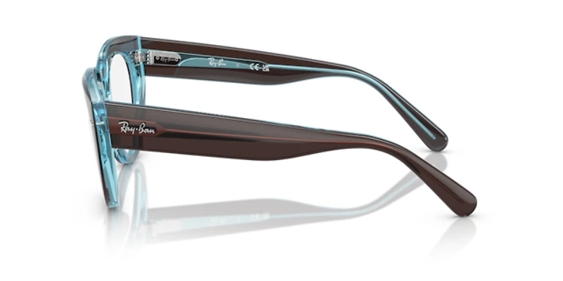 Ray-Ban Woman Brown On Transparent Blue