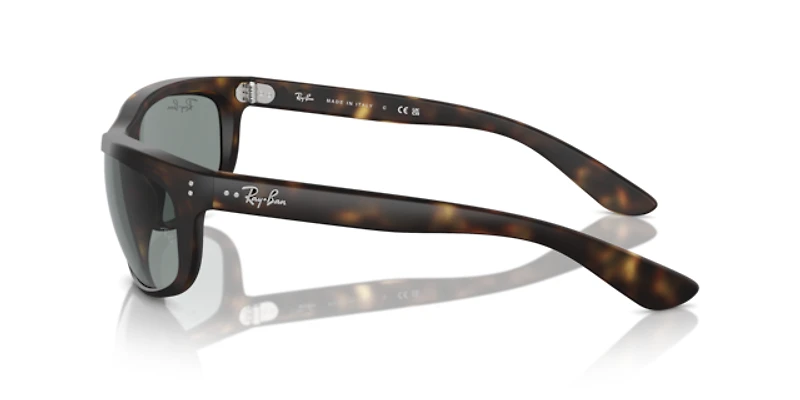 Ray-Ban Man Havana