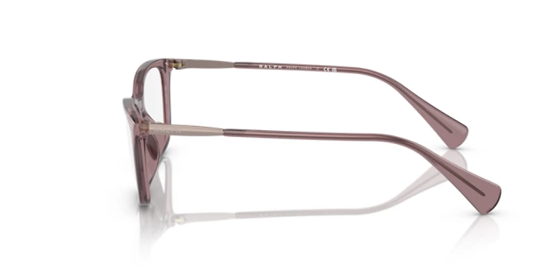 Ralph by Ralph Lauren Woman Transparent Plum