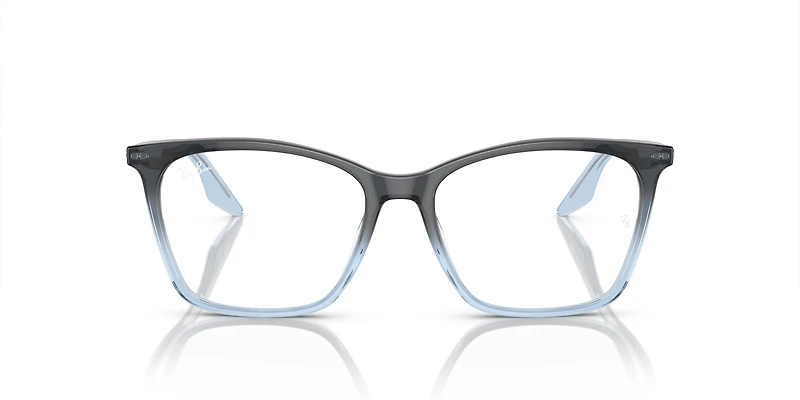 RB5422 Optics