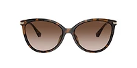 Michael Kors Woman Dark Tortoise