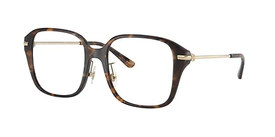 Michael Kors Woman Dark Tortoise