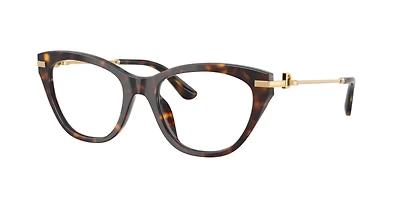 Dolce&Gabbana Woman Havana
