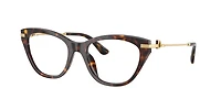 Dolce&Gabbana Woman Havana