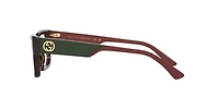 Gucci Woman Tortoise Light