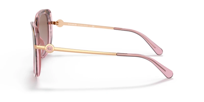 Coach Woman Rose Tortoise Gradient