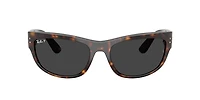 Ray-Ban Unisex Havana
