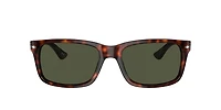 Persol Man Havana
