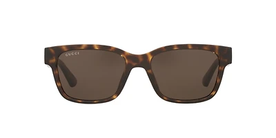 Gucci Man Tortoise