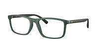 Polo Ralph Lauren Man Matte Transparent Dark Green