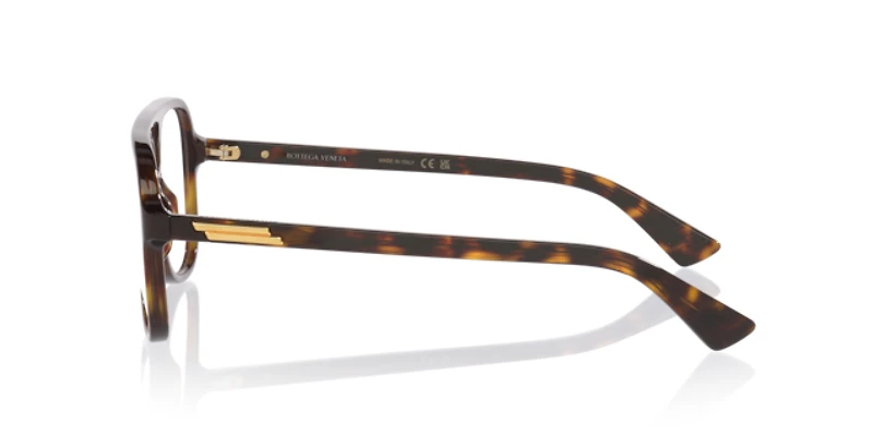 Bottega Veneta Unisex Tortoise