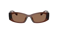 Michael Kors Woman Brown Transparent