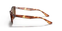 Ray-Ban Woman Striped Havana